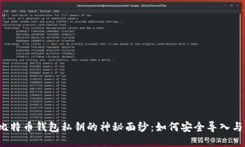 揭开比特币钱包私钥的神秘面纱：如何安全导入与管理？