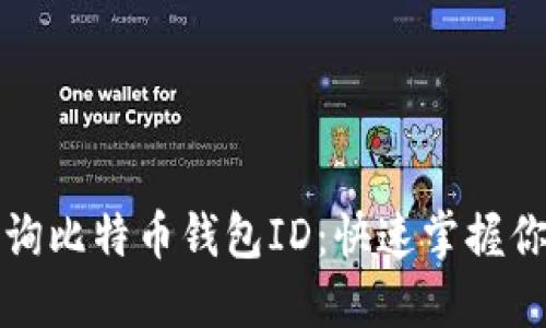 如何轻松查询比特币钱包ID：快速掌握你的数字资产