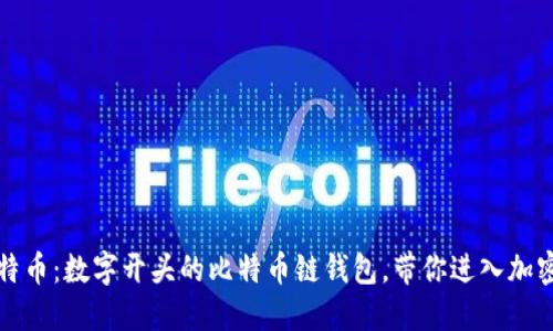 如何认识比特币：数字开头的比特币链钱包，带你进入加密货币的世界