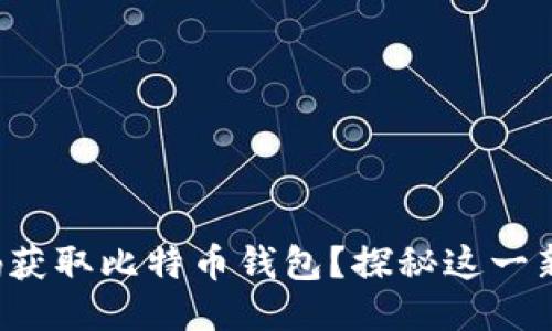 如何轻松扫码获取比特币钱包？探秘这一新手必备技巧！