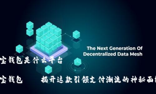 e宝钱包是什么平台

e宝钱包——揭开这款引领支付潮流的神秘面纱