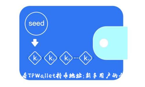 如何查看TPWallet持币地址：新手用户的全面指南