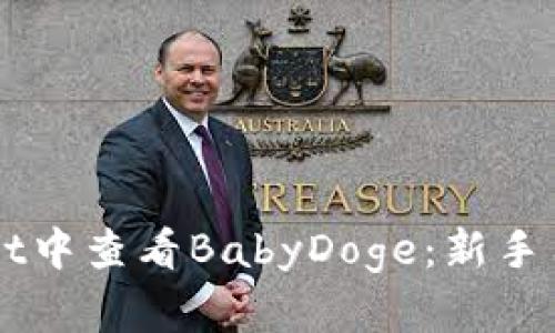 如何在TPWallet中查看BabyDoge：新手用户的详细指南