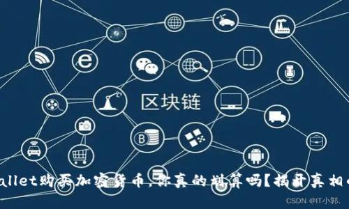 在TPWallet购买加密货币，你真的划算吗？揭开真相的面纱！