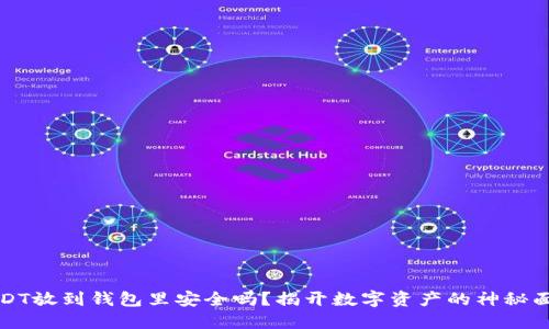 USDT放到钱包里安全吗？揭开数字资产的神秘面纱