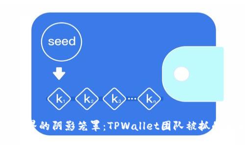 当加密世界的阴影笼罩：TPWallet团队被抓的背后真相