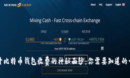 揭开比特币钱包收费的神秘面纱：你需要知道的一切