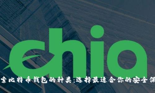 深入探索比特币钱包的种类：选择最适合你的安全保障之路