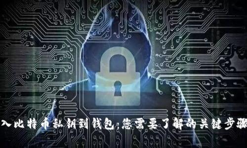 如何安全导入比特币私钥到钱包：您需要了解的关键步骤与注意事项