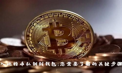 如何安全导入比特币私钥到钱包：您需要了解的关键步骤与注意事项