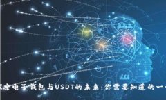 探索电子钱包与USDT的未来