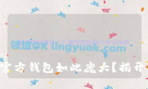 为何比特币官方钱包如此庞大？揭开背后的秘密！