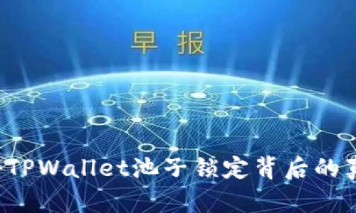 未来可期？揭秘TPWallet池子锁定背后的真相与应对策略