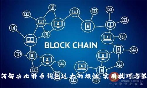 如何解决比特币钱包过大的烦恼：实用技巧与策略