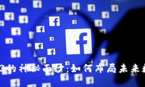 揭开Web3的神秘面纱：如何布局未来数字世界？