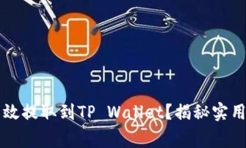 中本聪币如何高效提取到TP Wallet？揭秘实用技巧与注意事项