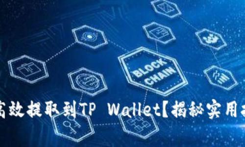 中本聪币如何高效提取到TP Wallet？揭秘实用技巧与注意事项