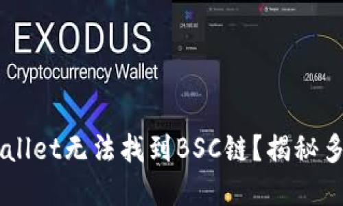 为什么电脑版TPWallet无法找到BSC链？揭秘多重网络选择的背后