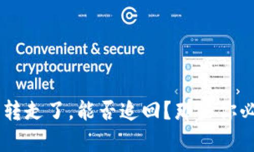 TP Wallet 被转走了，能否追回？那些你必须知道的真相