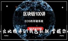 如何轻松导出比特币QT钱包