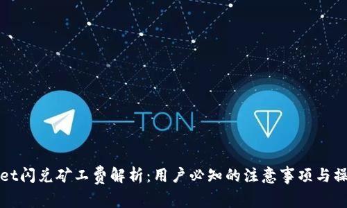 TPWallet闪兑矿工费解析：用户必知的注意事项与操作技巧
