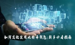 如何高效使用比特币钱包