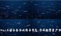 如何在Mac上安全备份比特