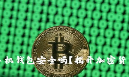 比特币官方手机钱包安全吗？揭开加密货币安全的真相
