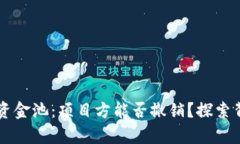 TPWallet资金池：项目方能否