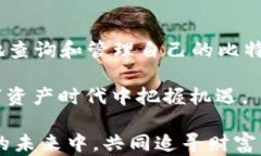 如何轻松查询比特币：掌