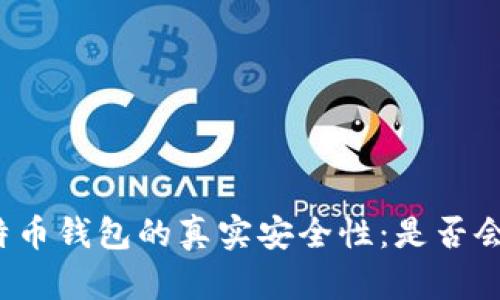 揭示比特币钱包的真实安全性：是否会被冻结？