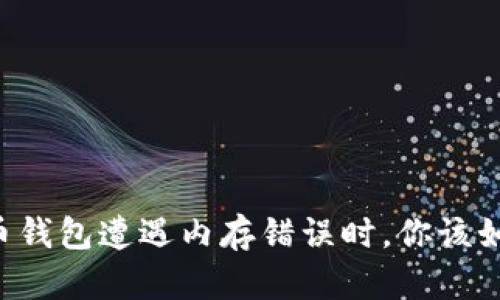 当比特币钱包遭遇内存错误时，你该如何应对？