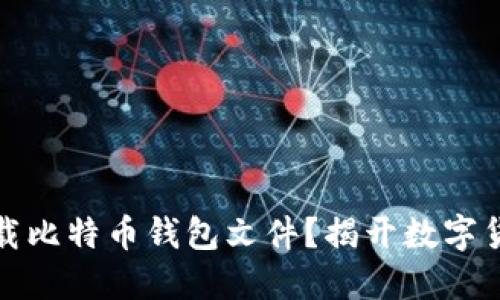 如何安全下载比特币钱包文件？揭开数字货币的新世界