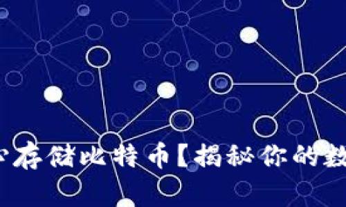 IM钱包：能否放心存储比特币？揭秘你的数字财富安全之道