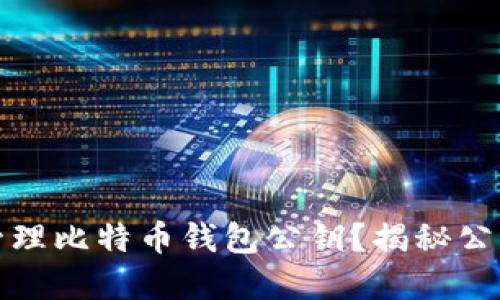 如何安全地管理比特币钱包公钥？揭秘公钥背后的秘密