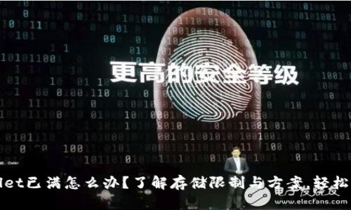 byaotiTPWallet已满怎么办？了解存储限制与方案，轻松解决你的烦恼