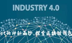 揭开TPWallet的神秘面纱，探