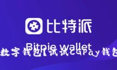 找不到适合你的数字钱包