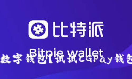 找不到适合你的数字钱包？试试CGPay钱包，让支付更简单！