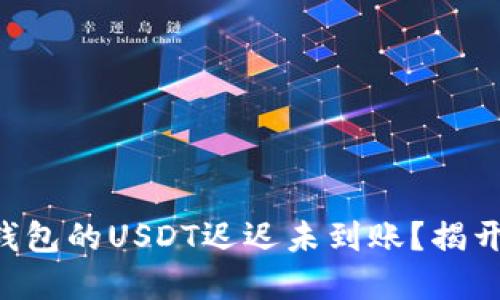 为什么麦子钱包的USDT迟迟未到账？揭开背后的秘密！