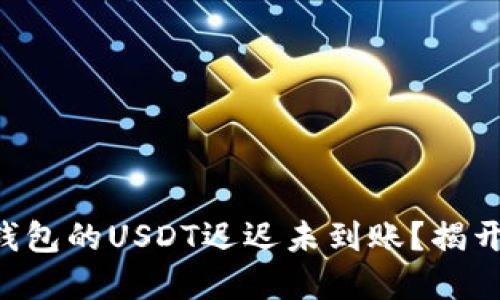 为什么麦子钱包的USDT迟迟未到账？揭开背后的秘密！