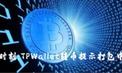 体验转币新时刻：TPWalle