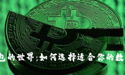 探索比特币钱包的世界：如何选择适合你的数字财富保管所？