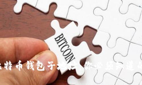 揭秘比特币钱包子地址：你必须知道的一切！