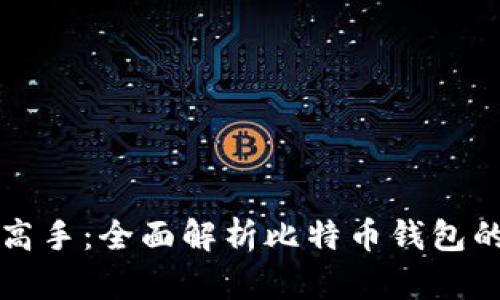 从新手到高手：全面解析比特币钱包的使用指南