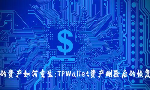 失去的资产如何重生：TPWallet资产删除后的恢复指南