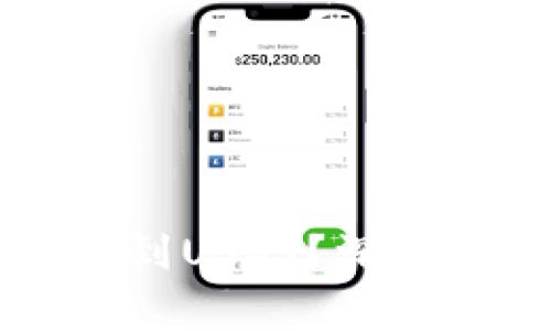 为什么你的TP钱包没有收到USDT？深度解析常见问题与解决方案