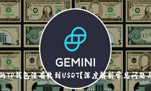 为什么你的TP钱包没有收到USDT？深度解析常见问题与解决方案