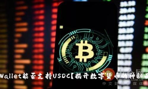 TPWallet能否支持USDC？揭开数字货币的神秘面纱