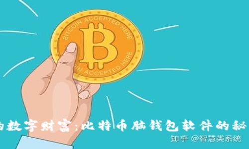 解锁你的数字财富：比特币脑钱包软件的秘密与应用